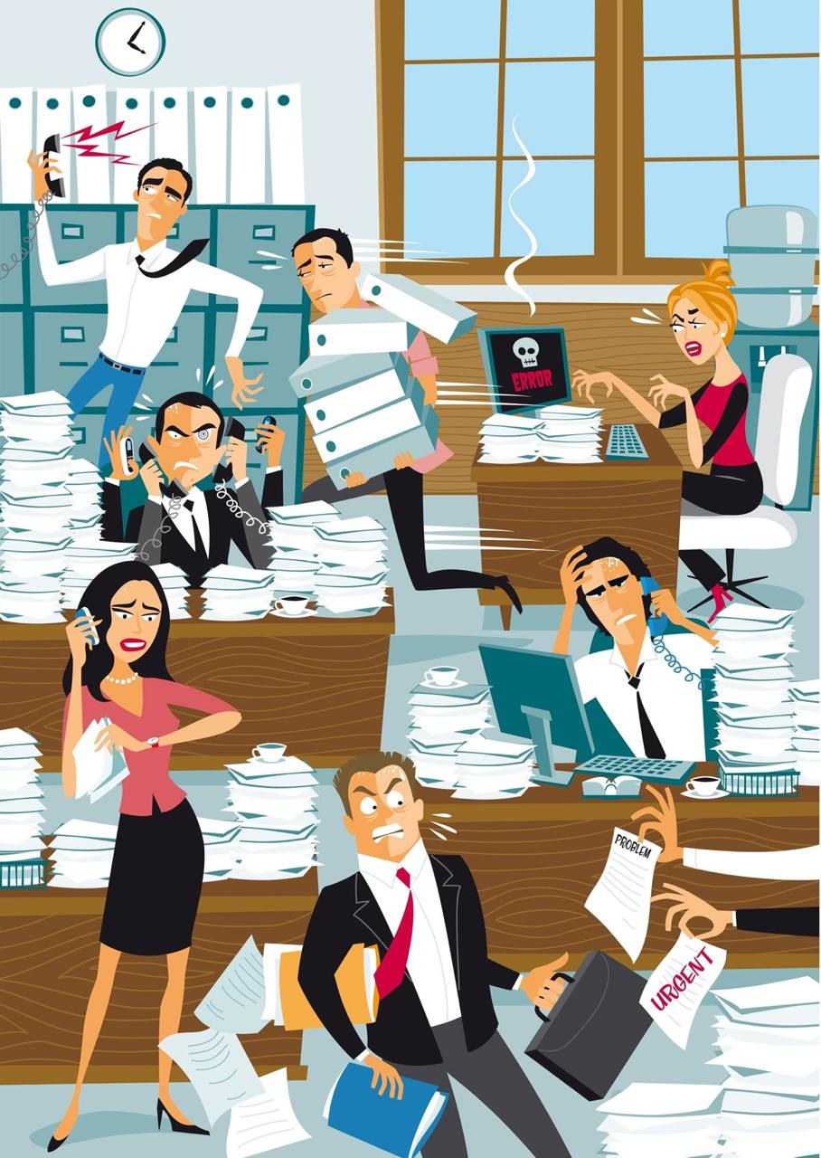 WhatsApp Image 2025-12-08 at 14.25.21